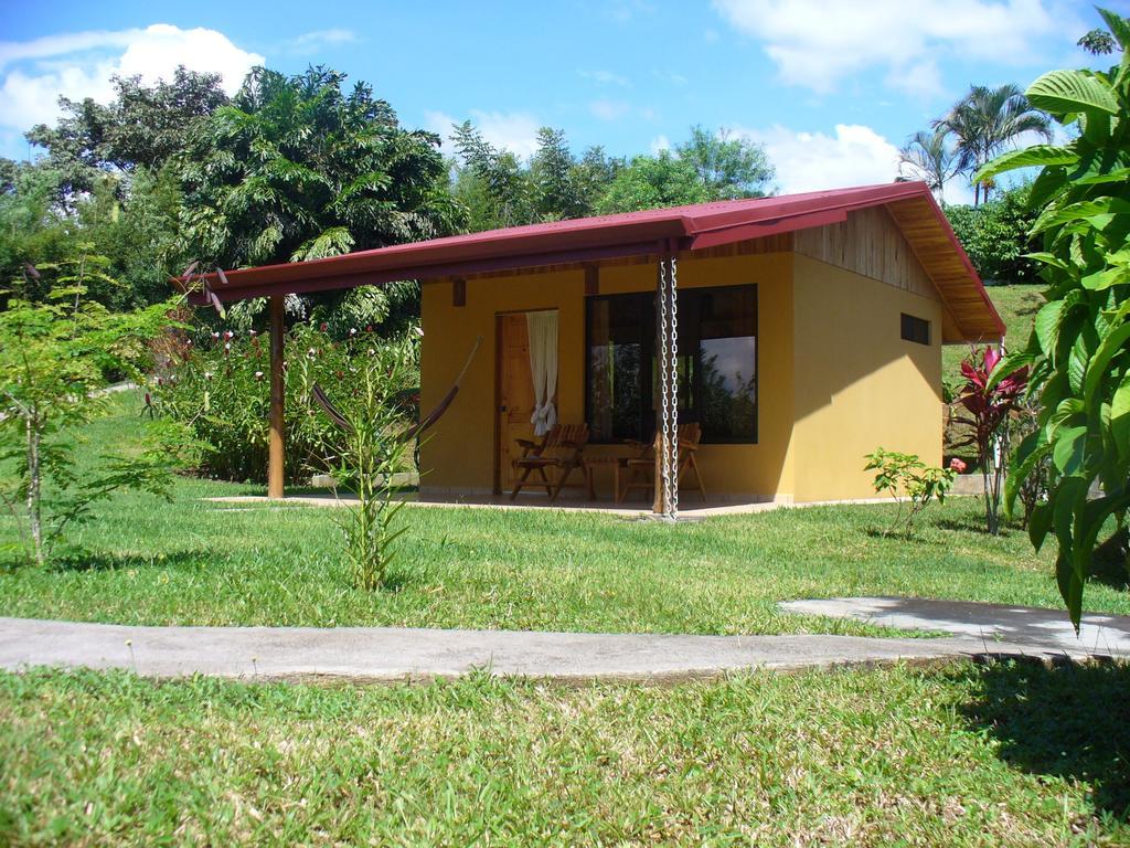 El Paraiso Verde B&B Atenas Rum bild